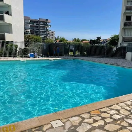 Vue Panoramique Sur Bassin,piscine Et Terrasse