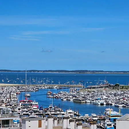 Vue Panoramique Sur Bassin,piscine Et Terrasse * アルカション