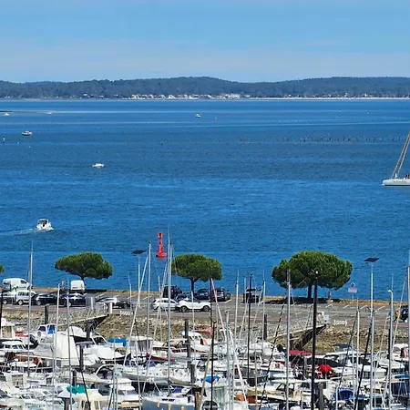 Vue Panoramique Sur Bassin,piscine Et Terrasse