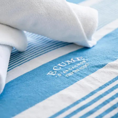 Vue Panoramique Sur Bassin,piscine Et Terrasse * آركاشو